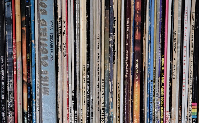 designer vinyl art toy collection display